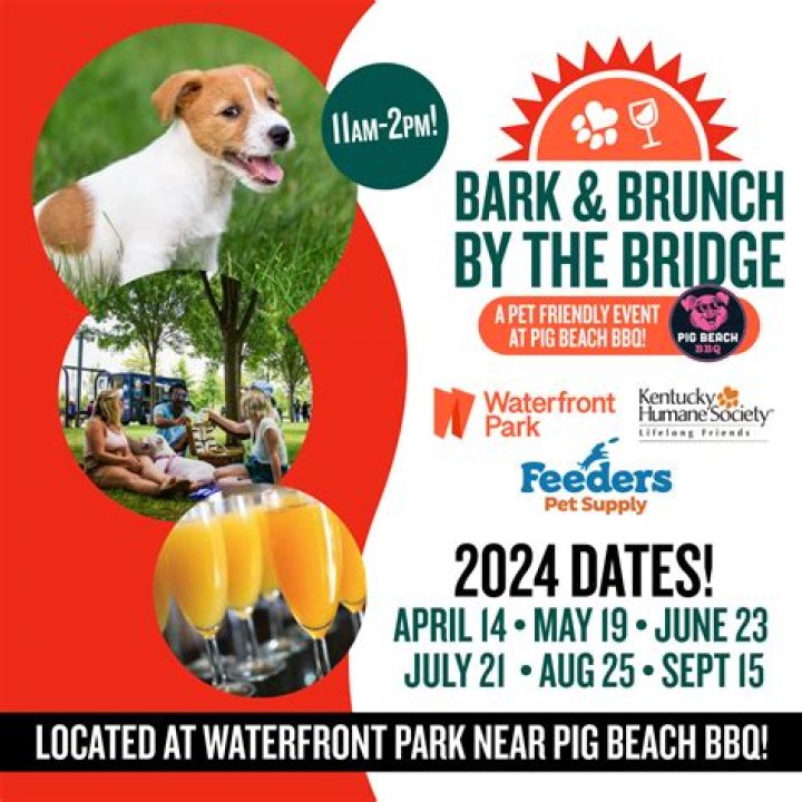 Bark & Brunch | Macaroni KID Boynton Beach