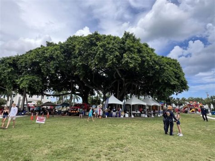 📽 Friday Flicks at Centennial Park🍿 | Macaroni KID Boynton Beach