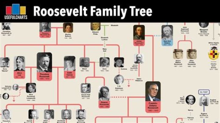 Is James Brolin Related To Josh Brolin? A Look At Their Family Tree And Branches