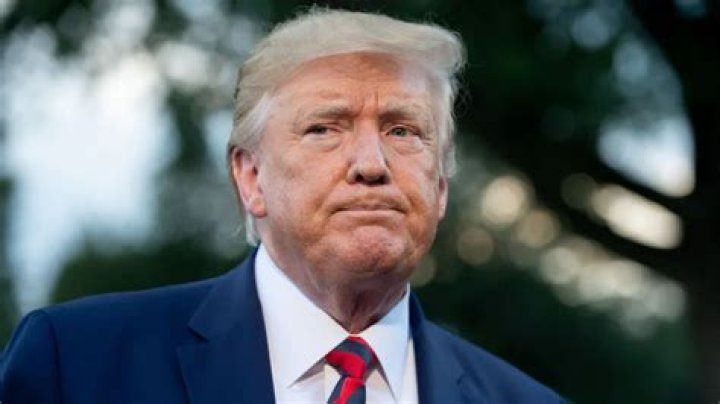 
What are the 34 felony charges against Donald Trump? Hush money criminal indictment explained 