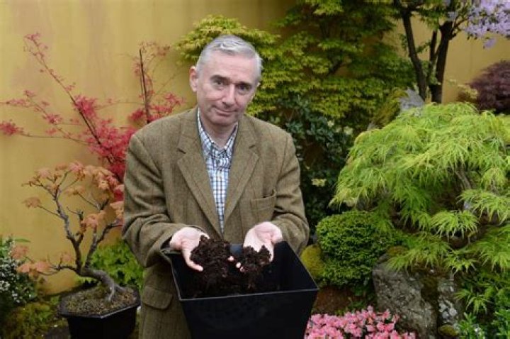 
What Happened To Gardener Dermot O’Neill? Cause Of Death And Wiki 