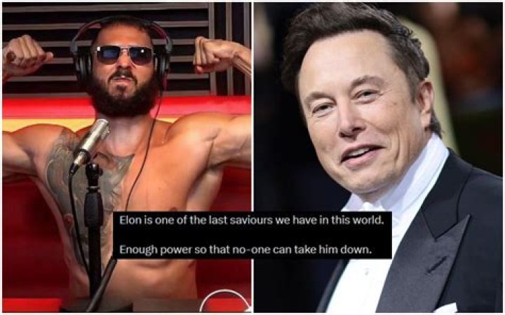 Why did Elon Musk roast Andrew Tate recently?